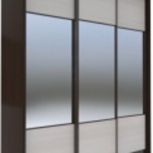 Шкаф-купе 203 VHG.01 / АЭП ШК.3 02 21век