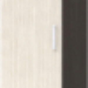 Шкаф-пенал Машенька ПН-204 21век