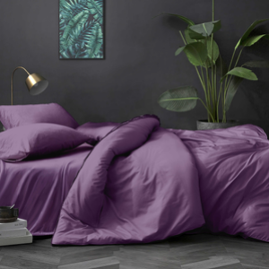 Комплект постельного белья Черника 2.0 с европростыней 21век