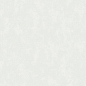 Бумажные обои Мира фон к-21 23ДТР 21век