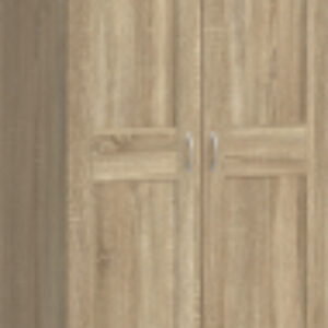 Шкаф Макс 2 двери 2.06.01.050.3 21век