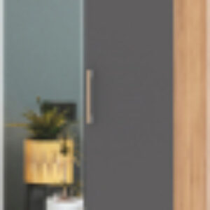 Шкаф Карина К22 21век