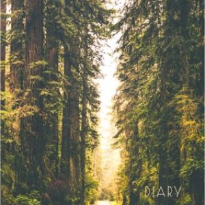 Ежедневник Дорога в лесу / ЕЖ23512814 21век