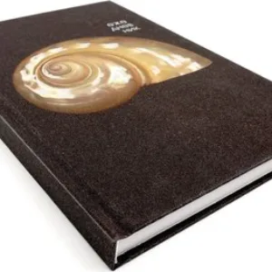 Ежедневник Перламутр / ЕЖФ24512806 21век