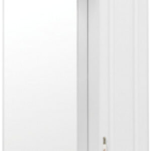 Шкаф с зеркалом для ванной Олеандр-2 50 21век