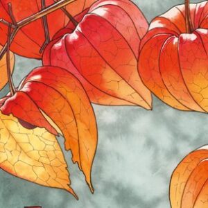 Ежедневник Физалис / ЕЖФ25612805 21век