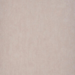 Бумажные обои Техас фон С25-МО к-61 21век