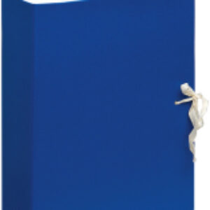 Коробка архивная 284719 21век