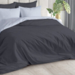 Комплект постельного белья Муссон 2сп с европростыней 21век