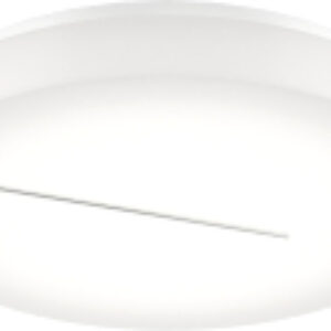 Потолочный светильник 3086/DL 21век