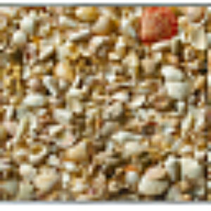 Экран для ванны Ракушки 3D 150x50 21век