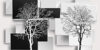 Фотообои листовые Дерево 3D Инь-янь 21век