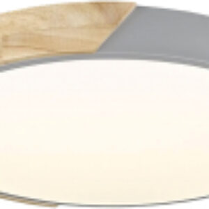 Потолочный светильник 445-227-01 21век