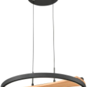 Потолочный светильник 450-043-01 21век