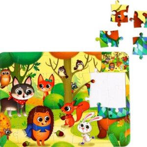 Развивающая игра Лесные зверята. С раскраской / 4659720 21век