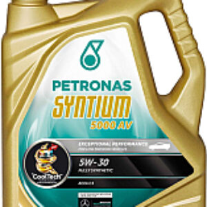 Моторное масло 5000 AV 5W30 70273M12EU / 18135019 / 70661M12EU 21век