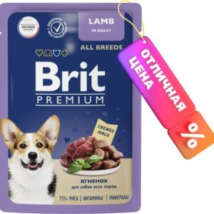 Влажный корм для собак Для взрослых собак всех пород с ягненком в соусе / 5053421 21век