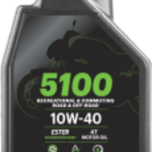 Моторное масло 5100 4T 10W40 / 104066 21век