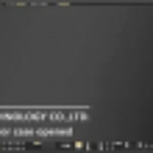 SSD диск 512GB (DHI-SSD-C900N512G) 21век