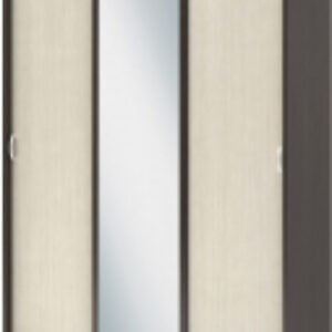 Шкаф-купе Басса ШКК-551 21век