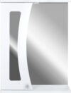 Шкаф с зеркалом для ванной Селена 55 R / 2711.114 21век