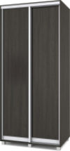 Шкаф-купе Роланд Р601 21век