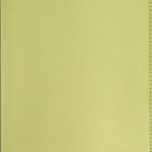 Записная книжка Плонже / 67305 21век
