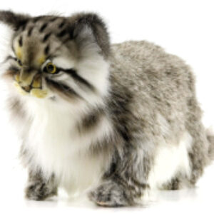 Мягкая игрушка Манул стоящий / 7077 21век