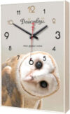 Настенные часы Любопытная сова 8Ч0011 21век
