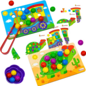 Сортер Черепаха и паровоз / СОР91 21век