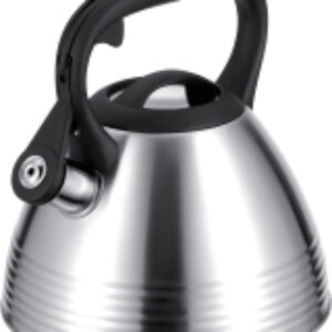 Чайник со свистком 93-TEA-51 21век