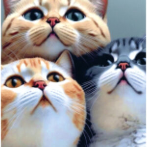 Картина по номерам Котята / 9688705 21век