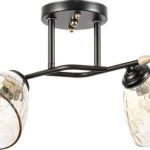 Потолочный светильник Шарлин 9717729 21век