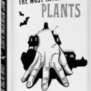 Записная книжка Вещь / 9785041861049 21век