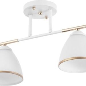 Потолочный светильник Донна 9920215 21век