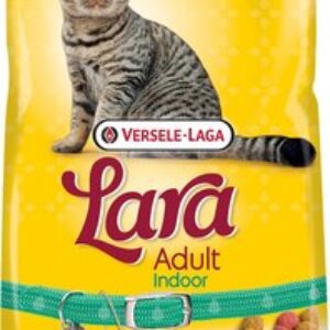 Сухой корм для кошек Adult с индейкой и курицей / 441079 21век