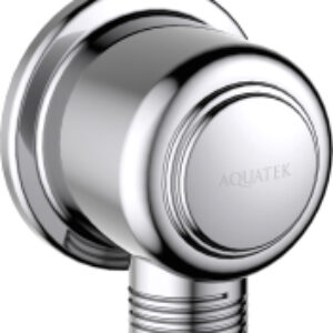 Подключение для душевого шланга Классик AQ2461CR 21век