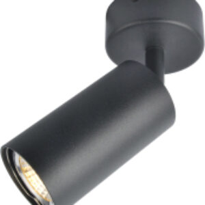 Спот Aquarius A3216PL-1BK 21век