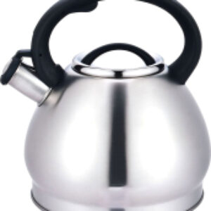 Чайник со свистком AST1035 21век