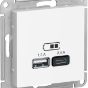 Розетка AtlasDesign ATN000139 21век