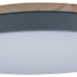 Потолочный светильник Axel 10001/36 Grey 21век