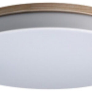 Потолочный светильник Axel 10001/36 White 21век