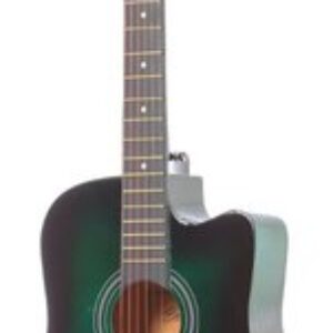 Акустическая гитара BC3810 GR 21век