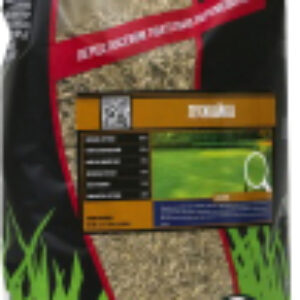 Семена газонной травы Лужайка 21век