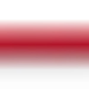 Гриф для штанги BGBRCF02 21век