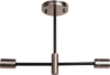 Потолочный светильник BL-4658/2 SN+BK 21век