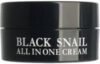 Крем для лица Black Snail All In One Cream 21век