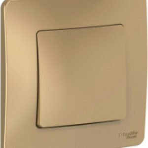 Выключатель Blanca BLNVS010104 21век