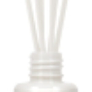 Аромадиффузор Bourbon Vanilla №47 / 74085 21век