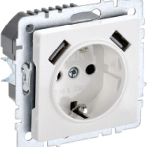 Розетка Brite BR-R14-16-U21-D21-K01 21век